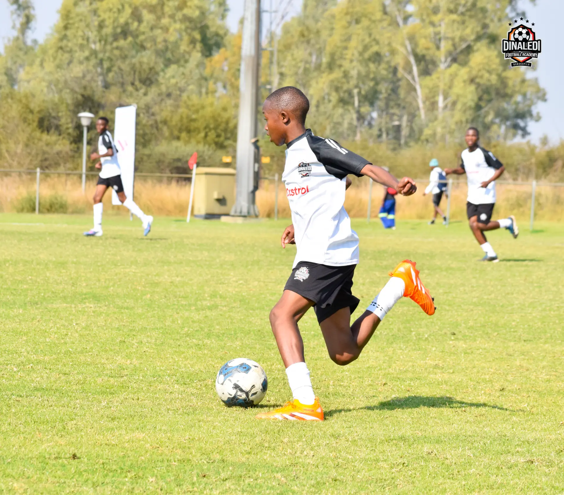 Dinaledi players in action